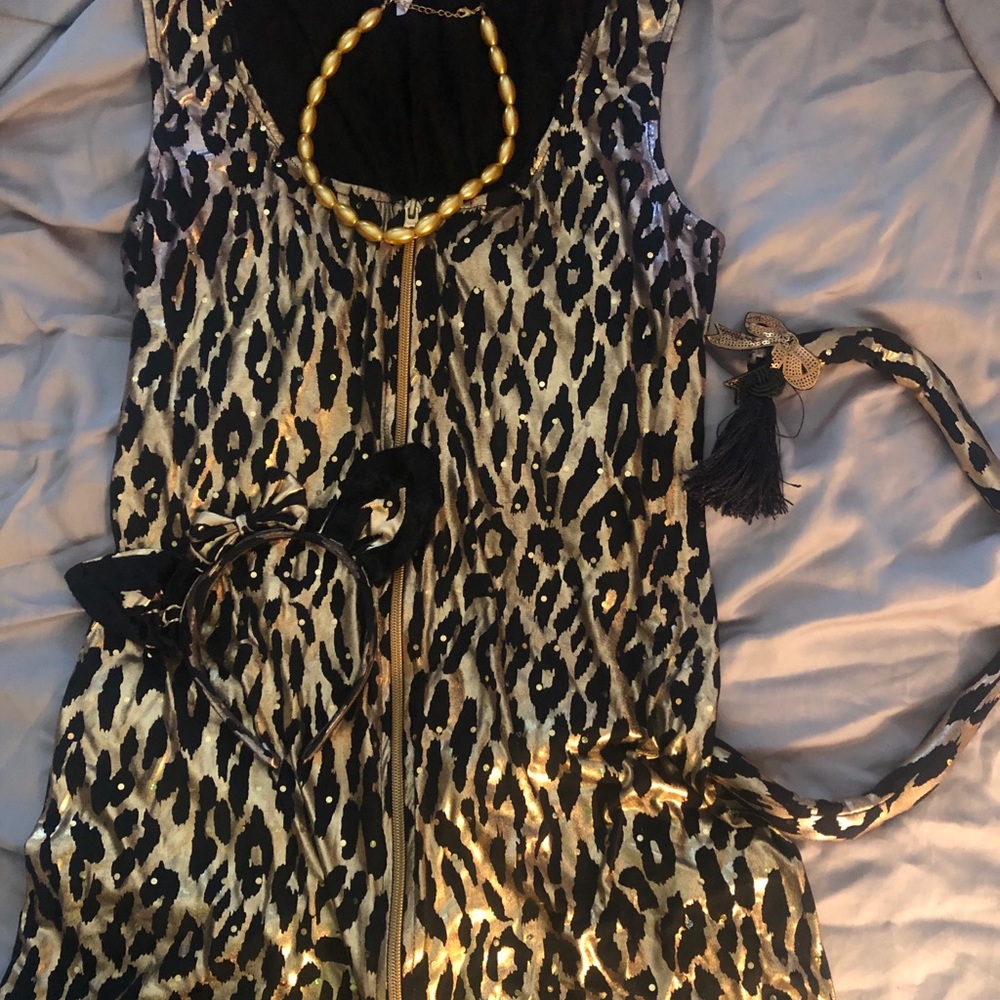 Sexy Kitty Costume- XL